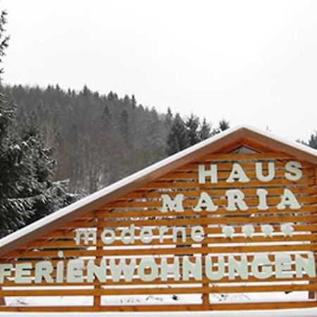 Haus Maria Lejlighed Todtnau Eksteriør billede