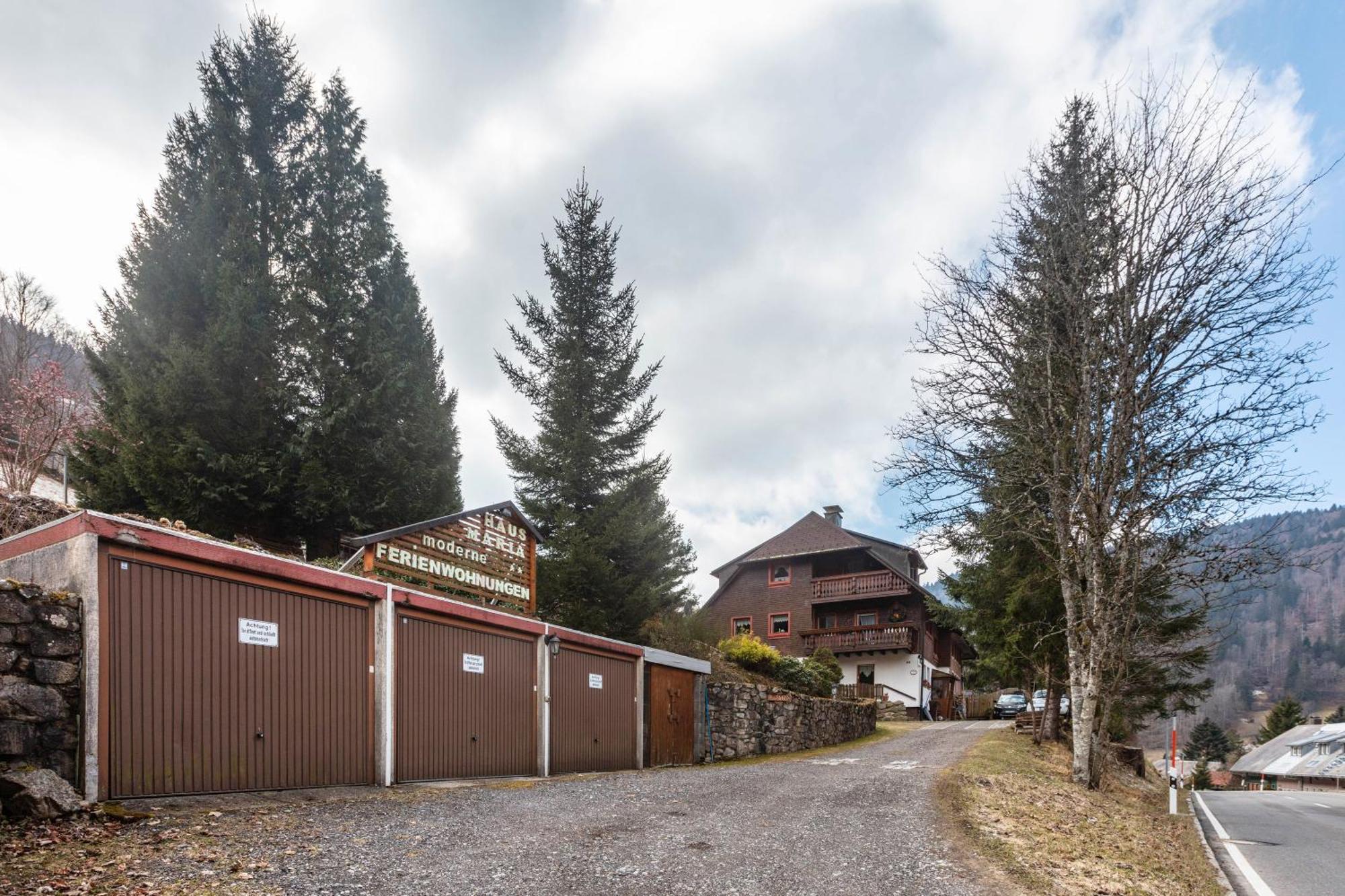 Haus Maria Lejlighed Todtnau Eksteriør billede